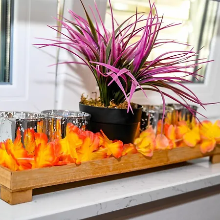 Blue With Free Parking